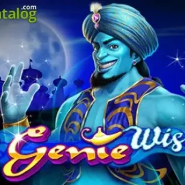 3 Genie Wishes
