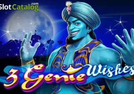3 Genie Wishes