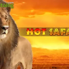 Hot Safari