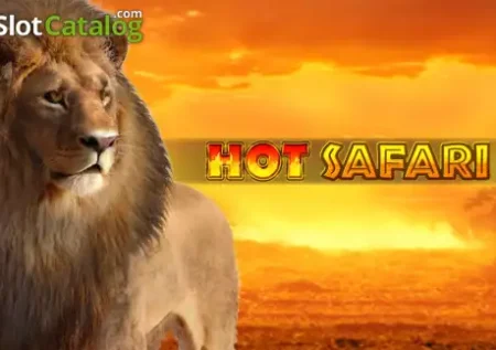 Hot Safari