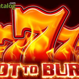 Hot to Burn