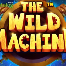 The Wild Machine