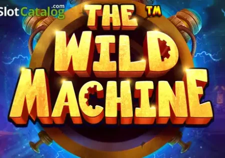 The Wild Machine