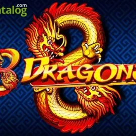 8 Dragons