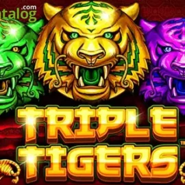 Triple Tigers